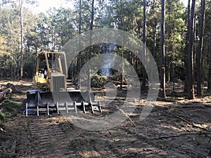 Clearing forest land with bulldozer photo