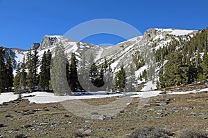 On the clearing in Great Basin NP