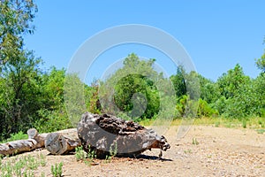 Clearing hiking area for tourists