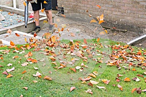 Clearing leaves from the garden