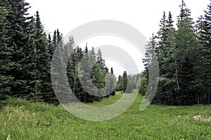 A Clearing for Skiing