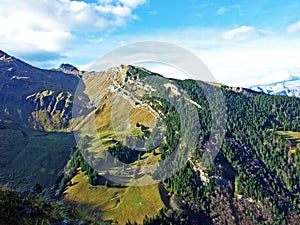 Clearly delineated and nicely visible height limit of vegetation between alpine pastures and coniferous forest on the Werdenberg