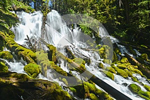 Clearwater Falls, Oregon