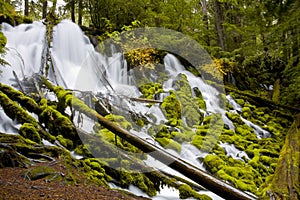 Clearwater Falls - Umpqua Scenic Byway
