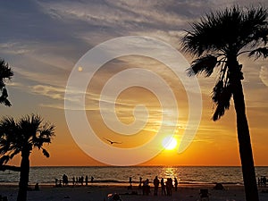 Clearwater, Florida State, United States. photo