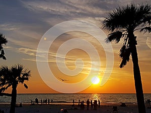 Clearwater, Florida State, United States.