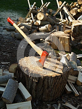 Cleaver with chopping block and wood