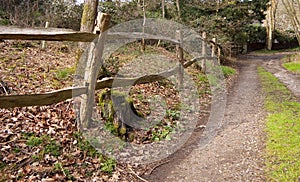 Cleft post and rail fence