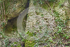 Cleft in the rock and tree roots.