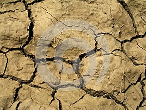 Clefts on dried soil