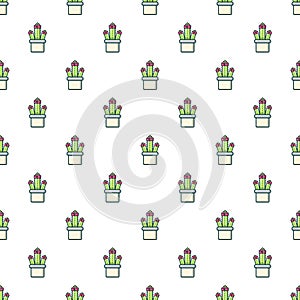 Cleistocactus pattern seamless