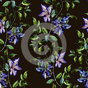 Clematis flower pattern