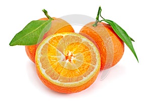 Clementine citrus fruit on white