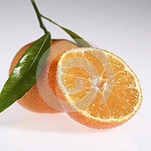 Clementine, citrus reticulata, Fruit against White Background