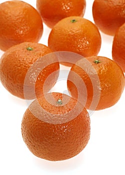 Clementine Fruit, citrus reticulata against White Background