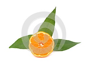 Clementine mandarin orange