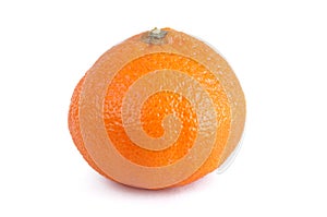 Clementine Orange - Tangerine