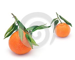 Clementines