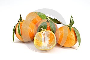 Clementines with leaves on white background .