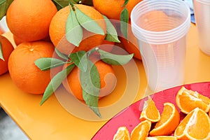 Clementines tangerines