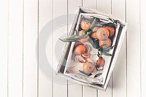 Clementines tangerines in a white tray