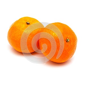 Clementines on a white background