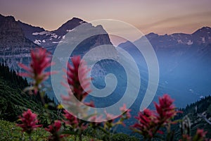 Clements Mountain Through Red Pantbrush Blooms