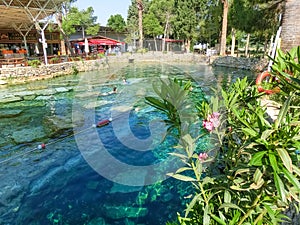 Cleopatra pool with termal water at Pamukkale, Turkey.