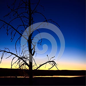 Clepsydra Geyser Silhouette at Sunset