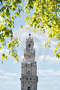 Clerigos Tower In Porto Seen Through Trees