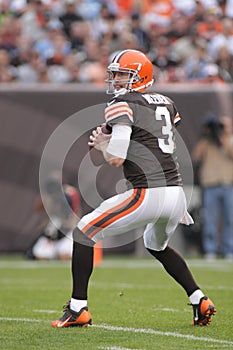 Brandon Weeden