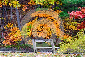 Cleveland Metroparks in the fall