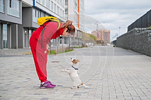 Clever obedient puppy Jack Russell Terrier executes owner`s commands on the street. A faithful thoroughbred dog looks