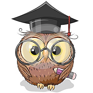 Clever owl with pencil and in graduation cap