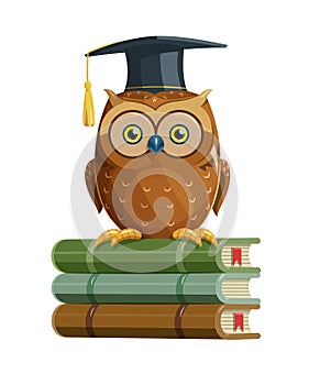 Clever owl sitting on books education