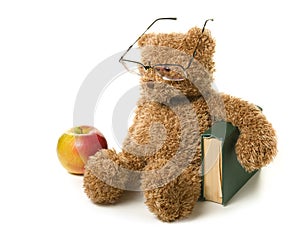 Clever teddy bear