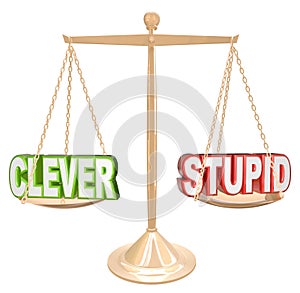 Clever Vs Stupid Words Scale Fine Line Humor Taste