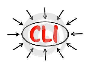 CLI - Command Line Interface is a text-based user interface used to run programs, manage computer files and interact with the