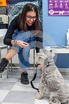 Client waiting with her pet in a veterinary clinic