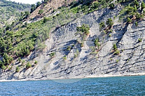 Clif with layers of rock and thickets of pine.