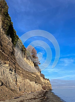 Cliff along the Puget Sound