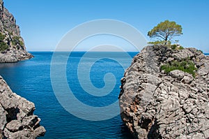 Cliff in the bay Sa Calobra, Mallorca, Spain