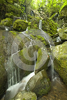 Cliff Branch Falls, Great Smoky Mtns NP, TN