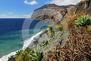 Cliff Cabo Girao at southern coast of Madeira 03