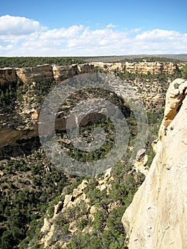 Cliff canyon in Mesa Verde (USA) (vertical)