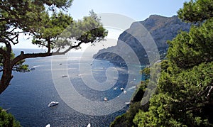 Cliff in Capri island