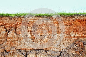 Cliff - clay soil and grass