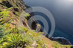 Cliff coast Cabo GirÃ£o on Madeira photo