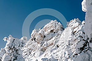 Cliff is covered with frost after snowstorm on winter day. Snow trees on slope of rock