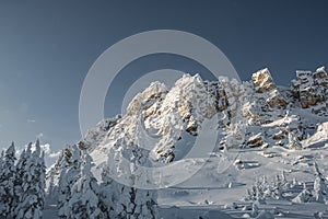 Cliff is covered with frost after snowstorm on winter day. Snow trees on slope of rock.